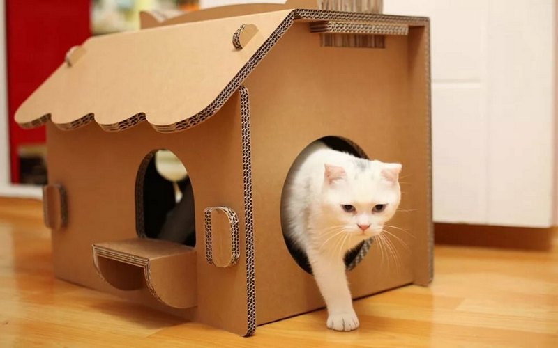 дом для кота из коробок