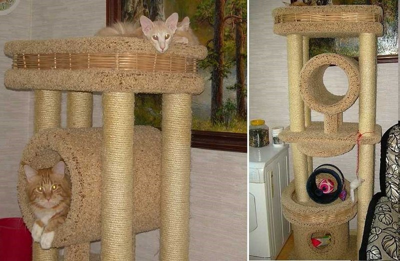 компактная лазанка для кота в квартире