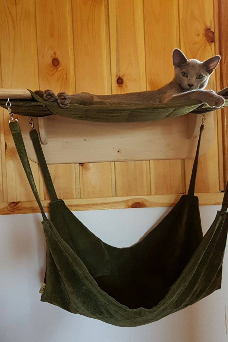 подвесной гамак для кота