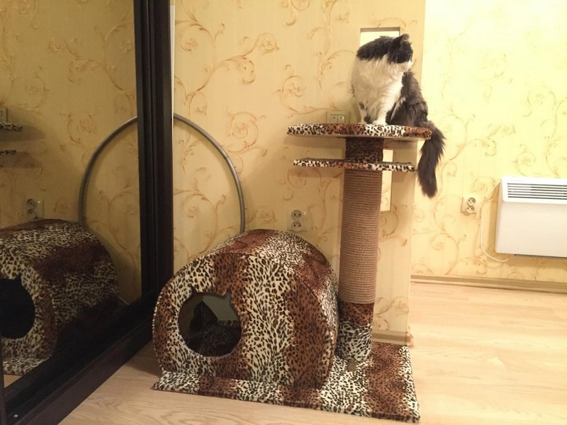 мягкий домик для кота леопардовый