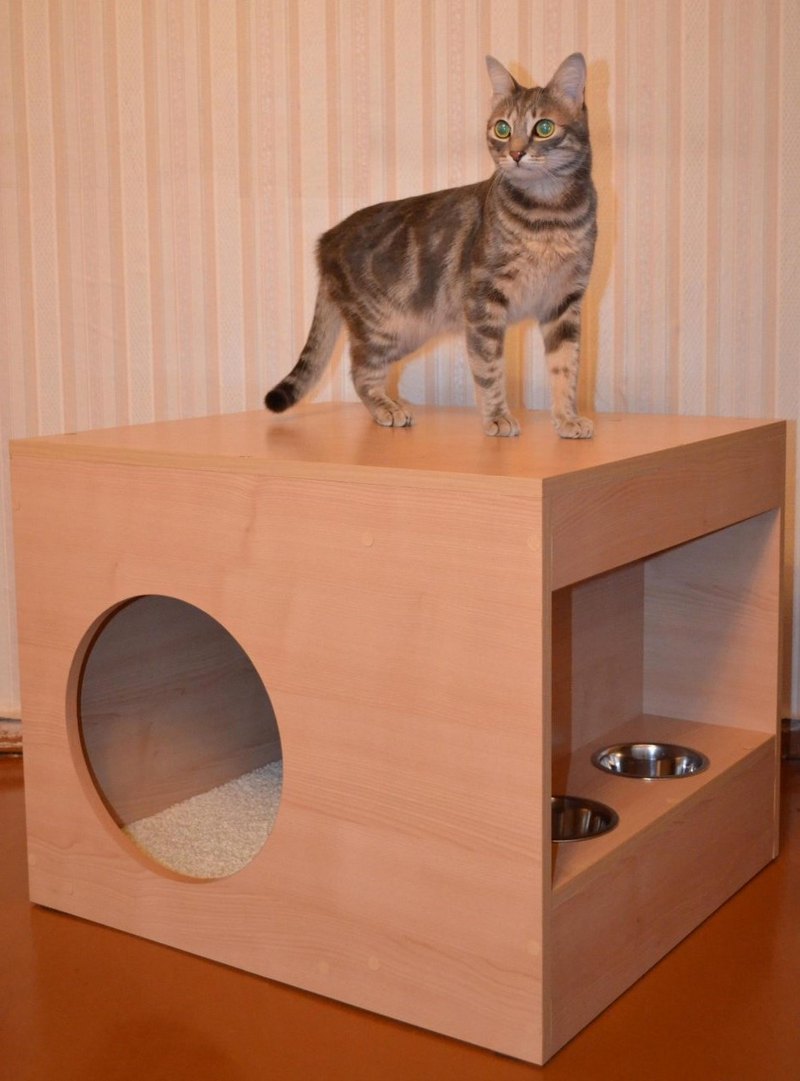 домик для кошечки поилками