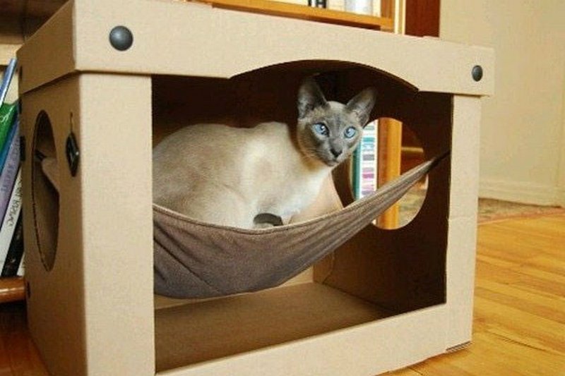 домик для кота из коробки с гамаком