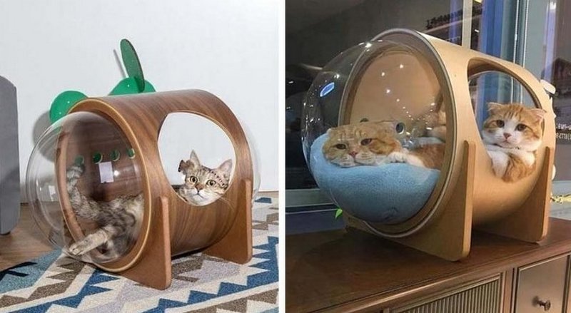 дом из пластика и дерева