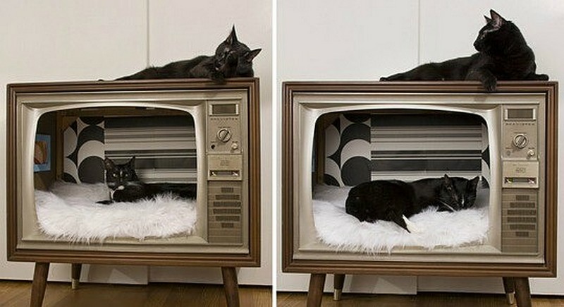 домик кота со старого телевизора