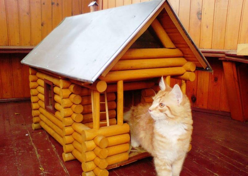 деревьяная изба домик кота 